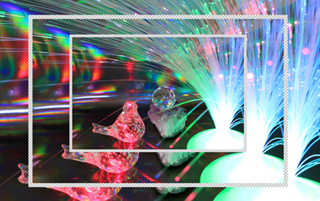 Sergiu Sas / Svetlana Petrovici